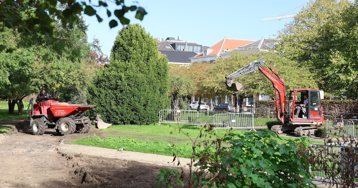 Schiedams hondenkerkhof roept na een week nog veel vragen op bij baasjes van de overleden dieren
