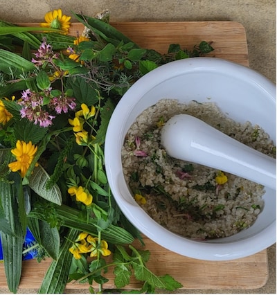 Veilig uit de natuur plukken en eten: workshop wildplukken voor kinderen in Waalre