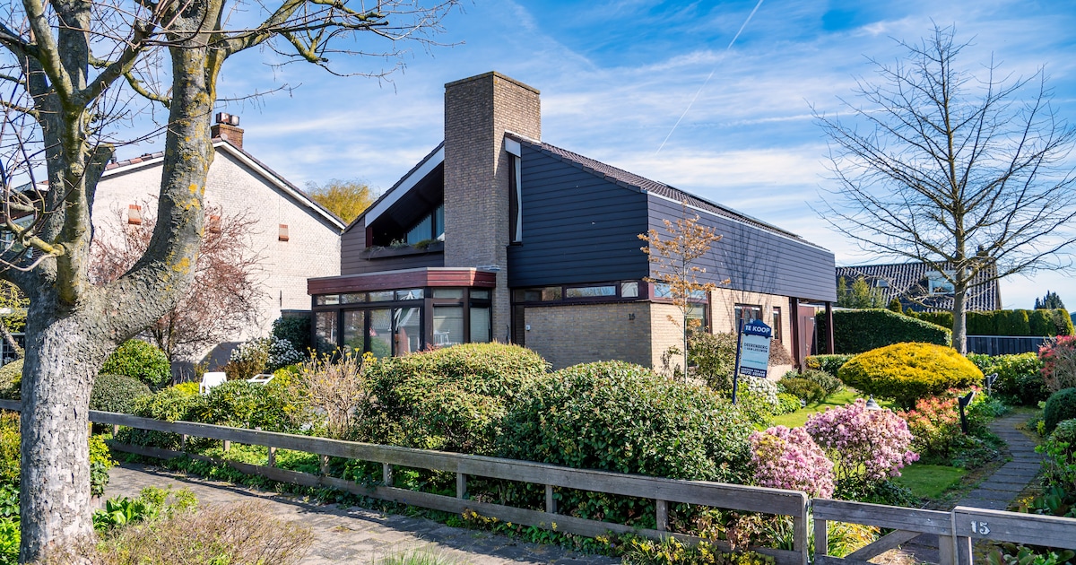 Je hebt geen AI nodig om bij deze villa in Woubrugge een modern interieur te zien