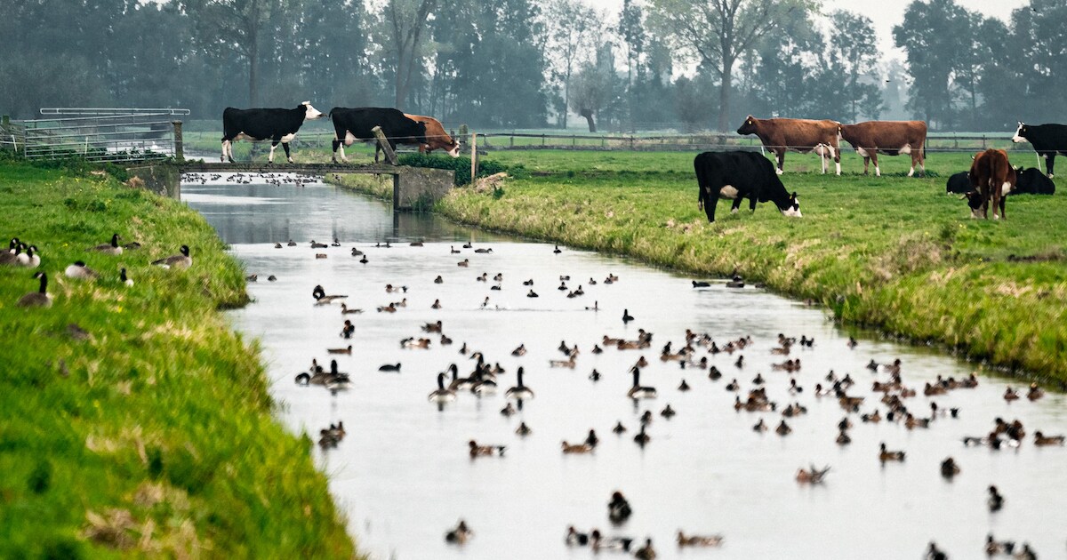 Huh? Ligt Oudenhoorn opeens in Molenlanden?