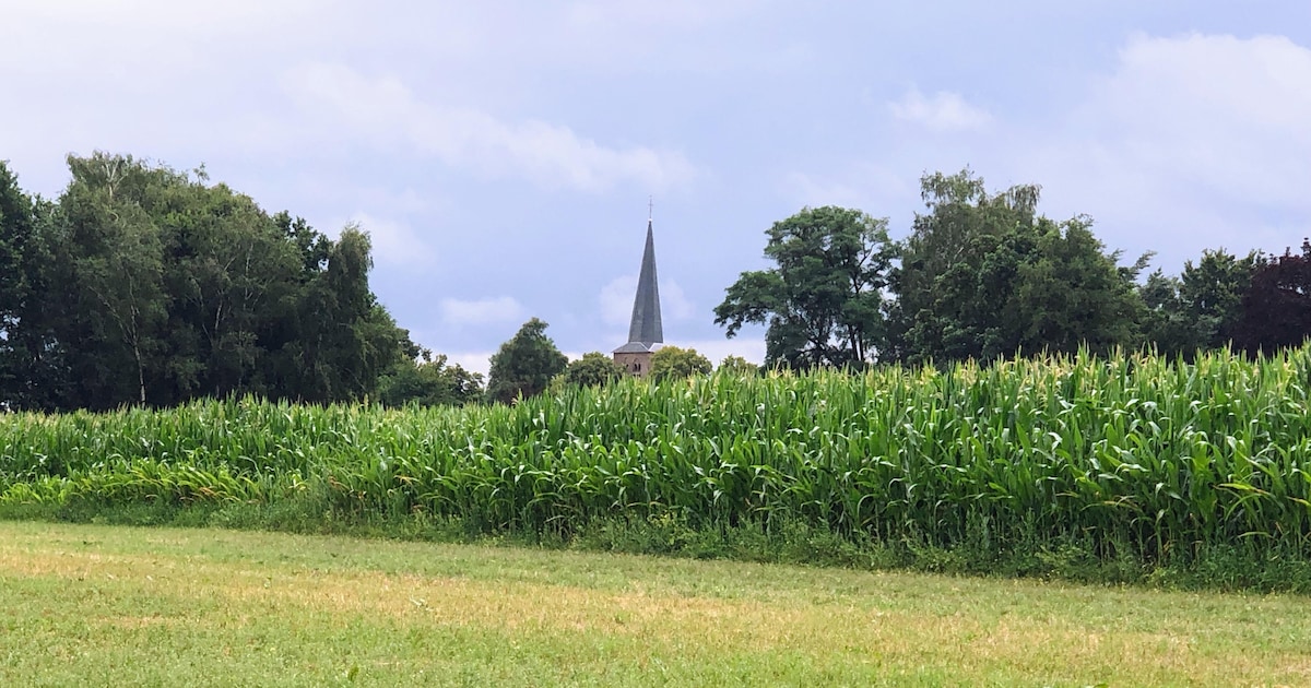 Kunst door verstandelijk beperkten zaterdag en zondag in Oude Kerkje Middelbeers