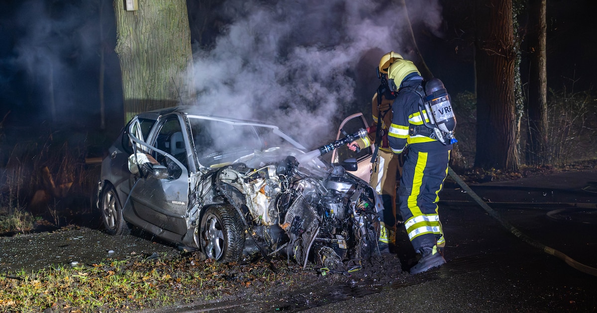 Auto vliegt in brand na botsing tegen boom in Rijs, één zwaargewonde