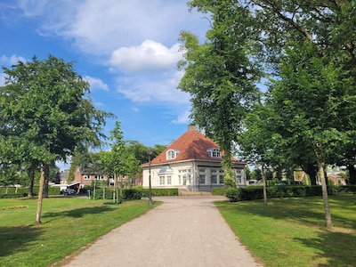 Image related to the article