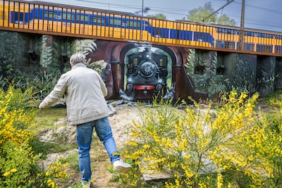 Image related to the article