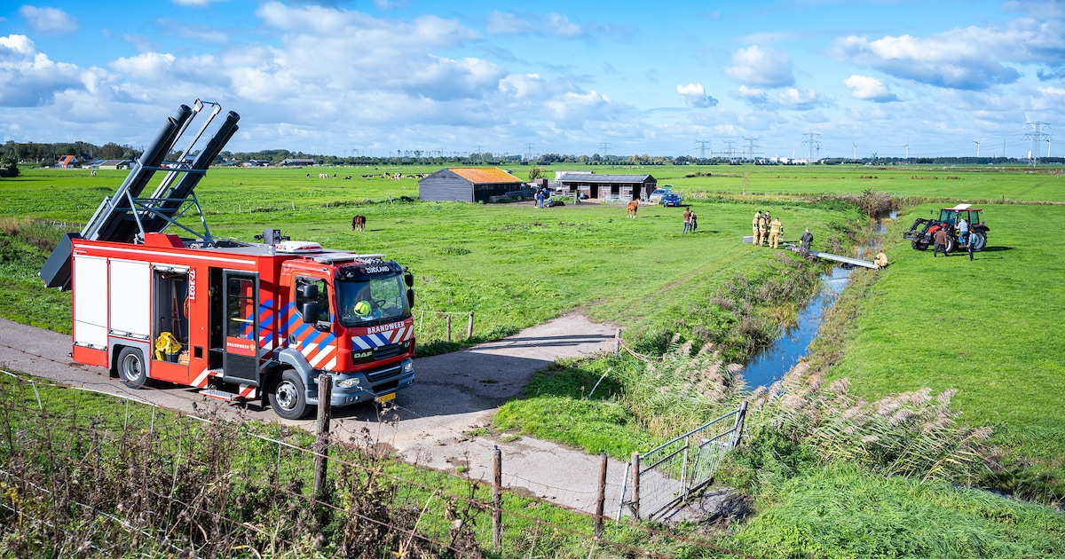 Paard overleeft val in de sloot niet in Simonshaven