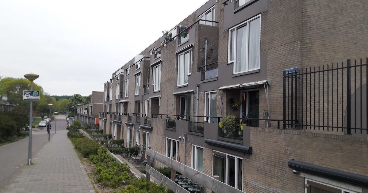 ‘Moordverdachte Lelystad is ex-tbs’er’