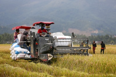 Iran war also hits fertilizer production: ‘It could become dire’