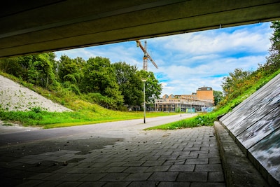 Image related to the article