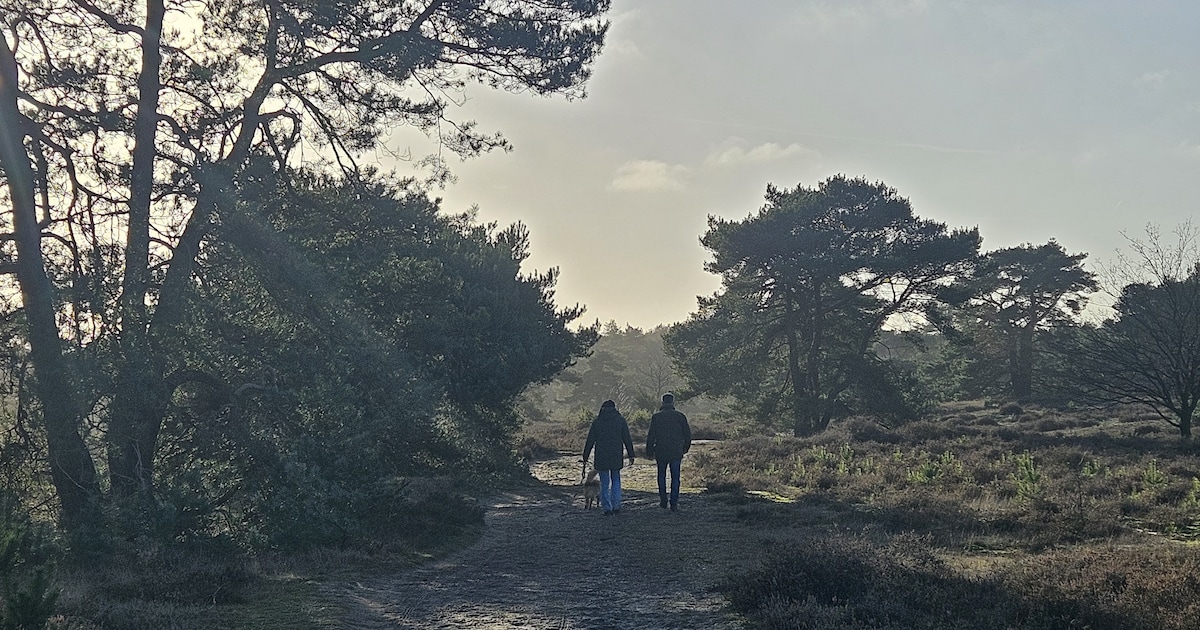 Alvast voor in de agenda: drie dagen wandelen over de Veluwe in februari