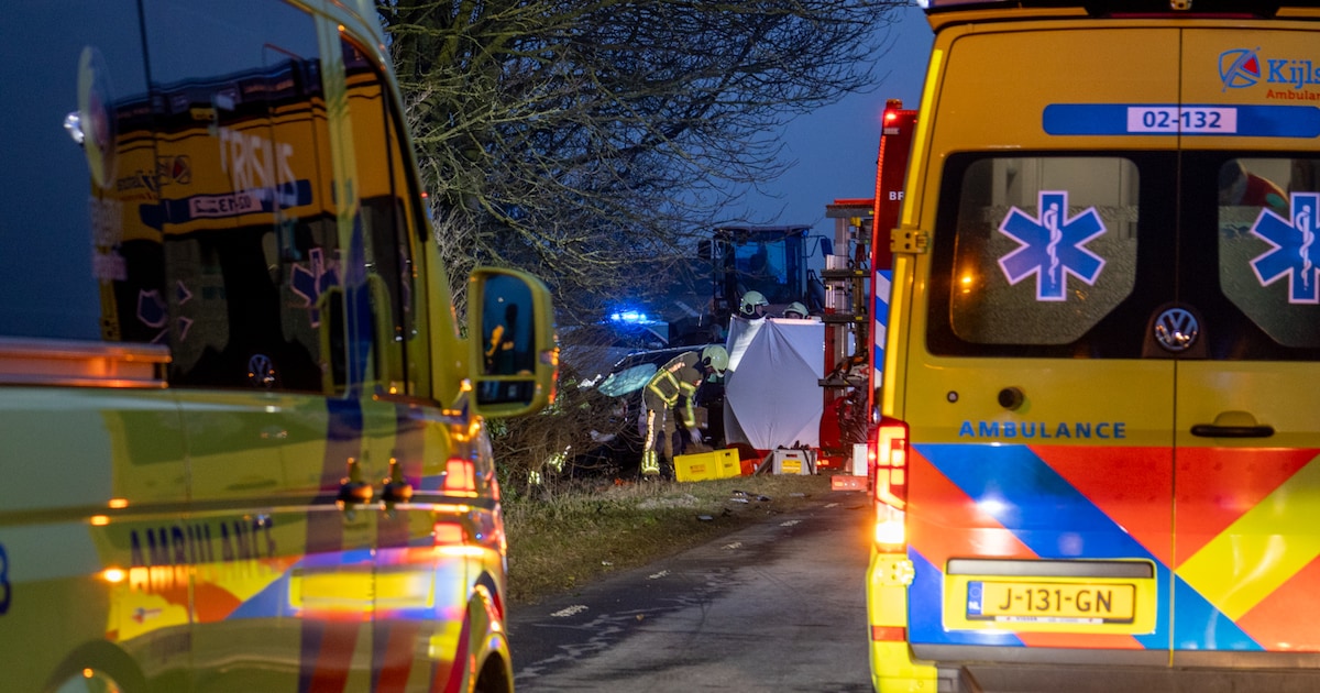 Auto botst frontaal op vrachtwagen in Tzum: dode en zwaargewonde