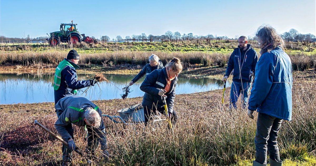 Ecologisch onderzoek Edam-Volendam start in april