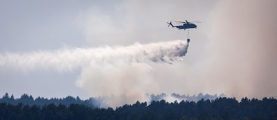 LIVE vakantieblog | Enorme brand in Duits nationaal park legt natuurgebied ter grootte van Central Park in de as