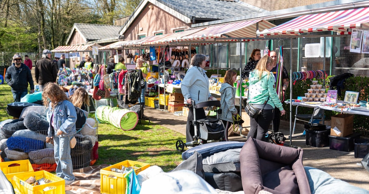 Open dag Dierenopvang Gouda met thema 'Van straat tot mand'