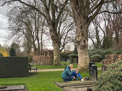 Image related to the article