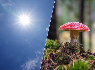 Herfst laat nog op zich wachten: kwik loopt op tot 28 graden in Brabant
