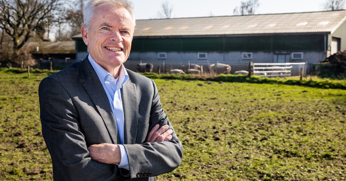 Ommen heeft lage woonlasten én 18 miljoen op de plank: dit is het geheim