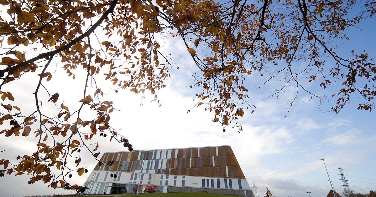 Praktijkgericht onderwijs ontdekken op Metzo College Doetinchem