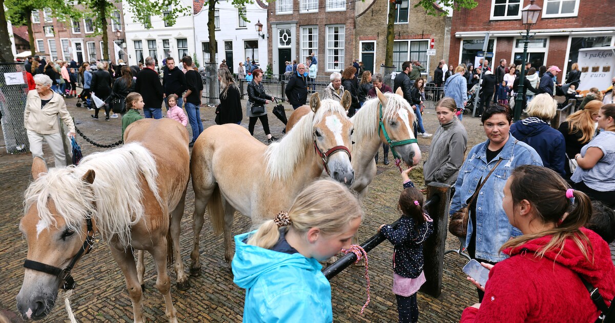 Na drie jaar weer paardenmarkt in Heenvliet en ‘iedereen is flabbergasted van de kermis’