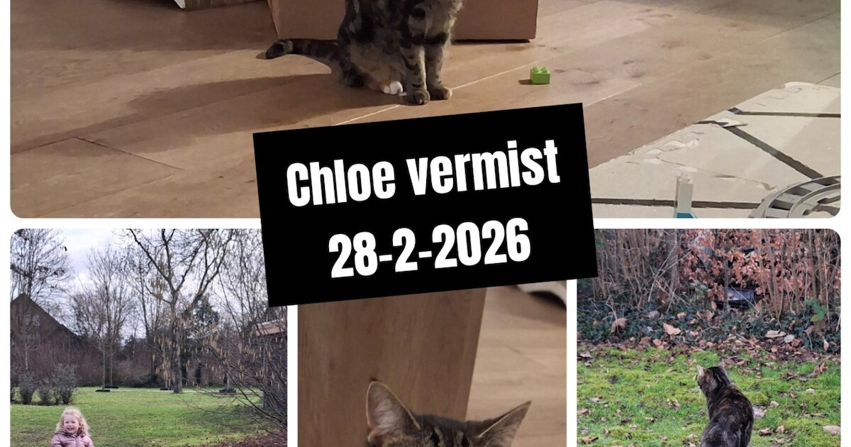 Heb jij Chloe of Mowgli gezien? Deze twee huisdieren worden in Aalten vermist