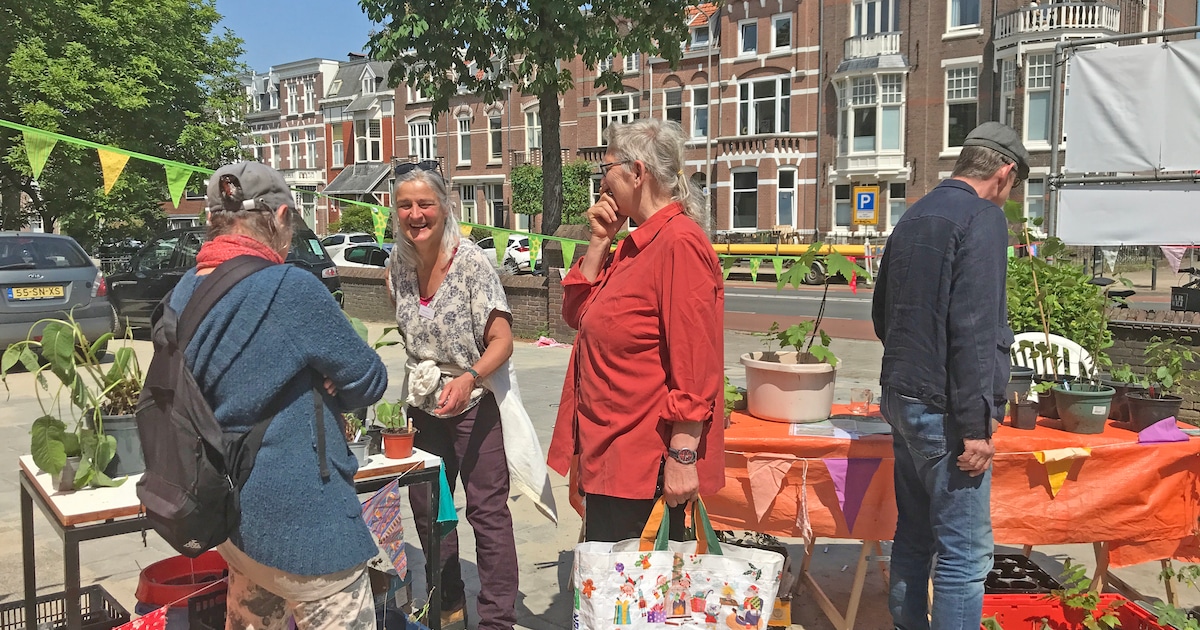 Plantjesmarkt bij Antonius van Paduakerk in Nijmegen