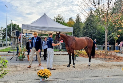 LIVE | Keuring paarden Military Boekelo in volle gang • Boekelo in het teken van paarden, hoedjes en