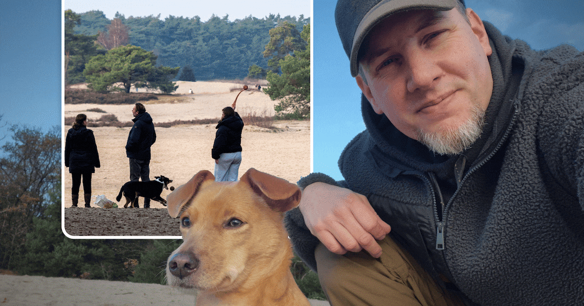 Elke dag lopen en poepen honderden honden in de Soesterduinen, houdt de natuur het wel?