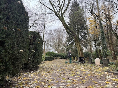 Image related to the article