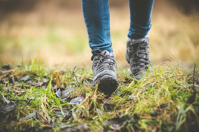 IVN Asten-Someren houdt wandeling door natuurgebied Groote Peel