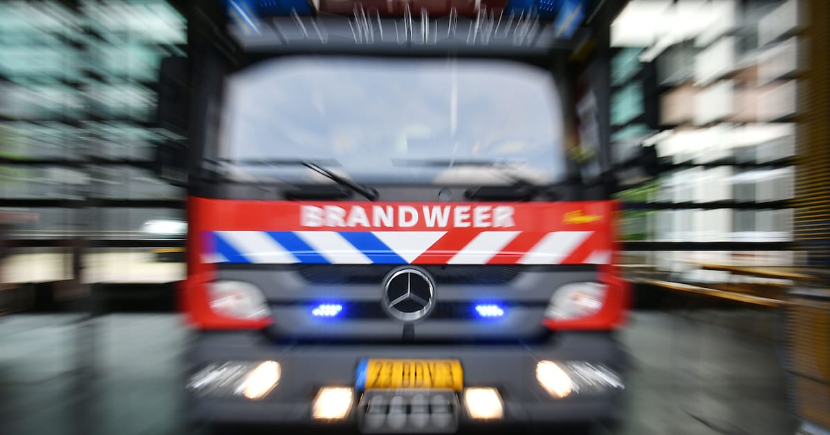 Grote inzet van brandweer door natuurbrand in Koningsbosch