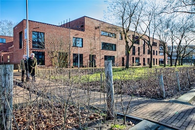 Image related to the article