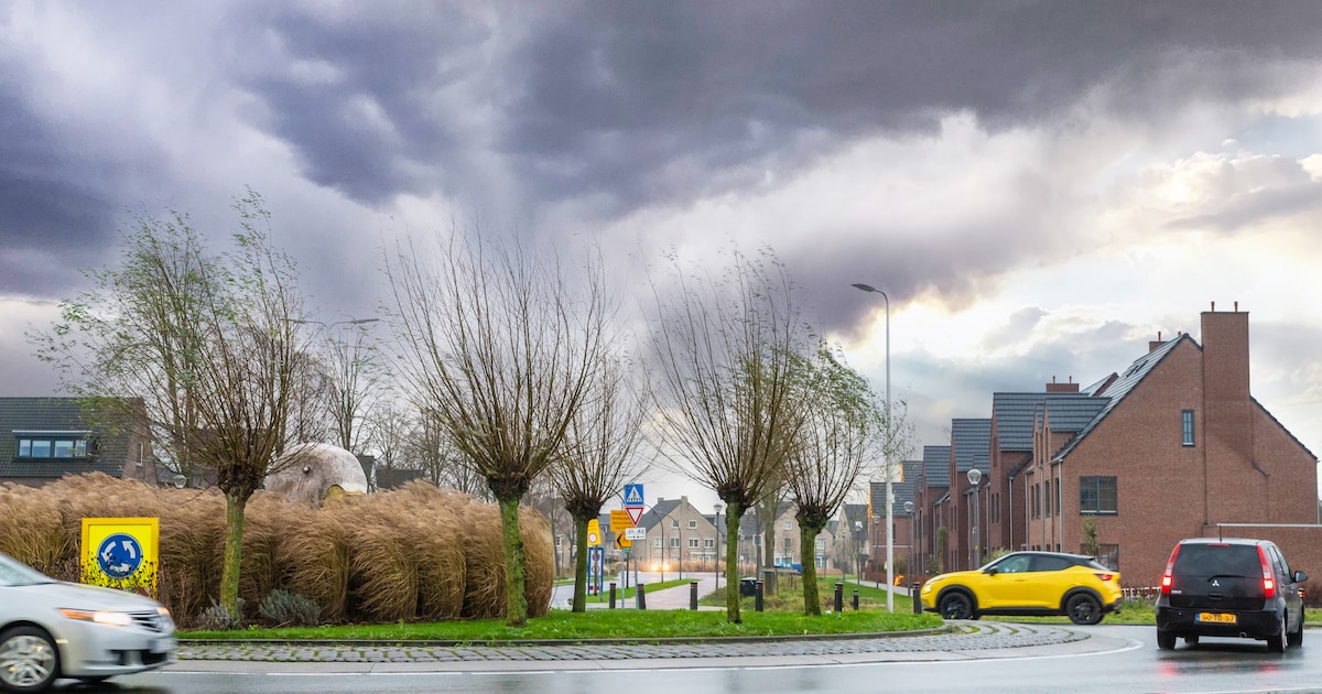 Zuidplaslaan in Waddinxveen groener met 2000 struiken en 400 oeverplanten