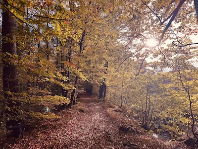 Prachtig! Deze herfstfoto's wil je zien