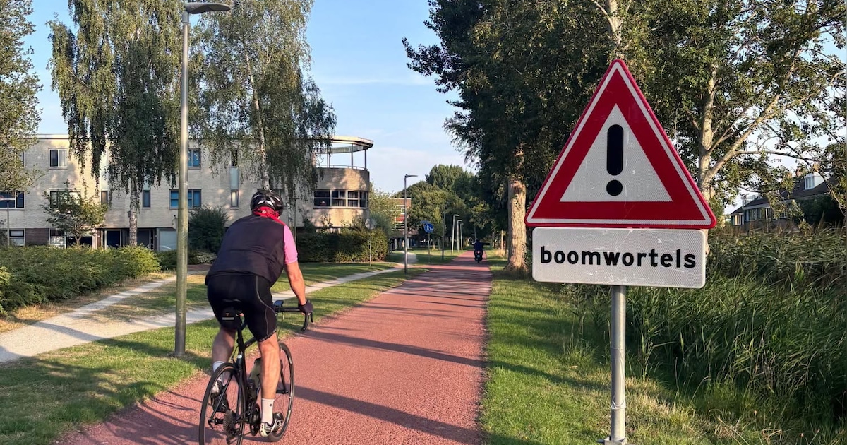 Fietspad 't Vaantje in Nootdorp opgeknapt na schade door boomwortels