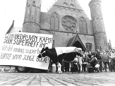 Image related to the article