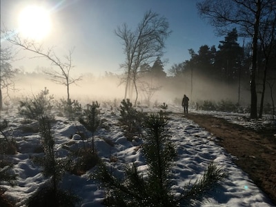 Snertwandeling op de Loenermark