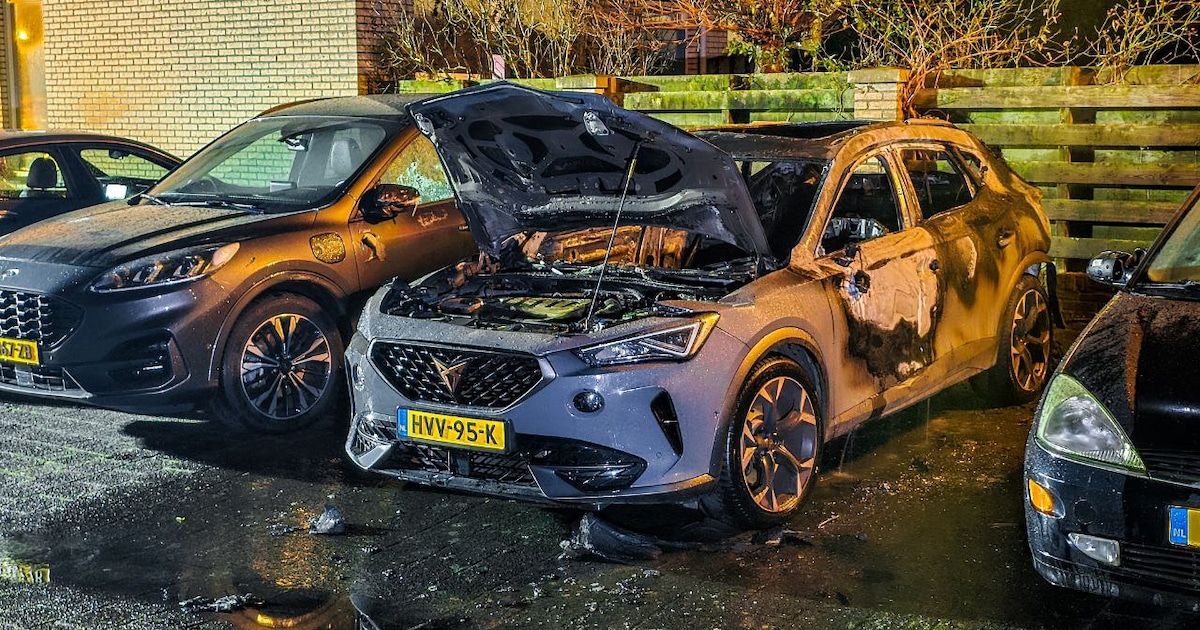 Drie auto’s beschadigd bij nachtelijke autobrand in Hengelo