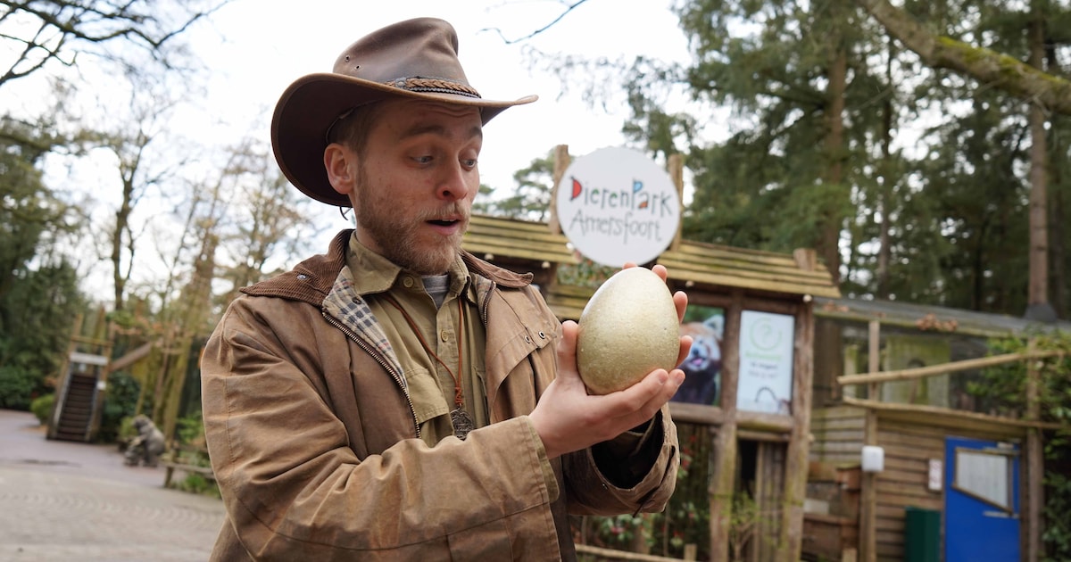 DierenPark Amersfoort verstopt gouden dino-eieren tijdens Pasen