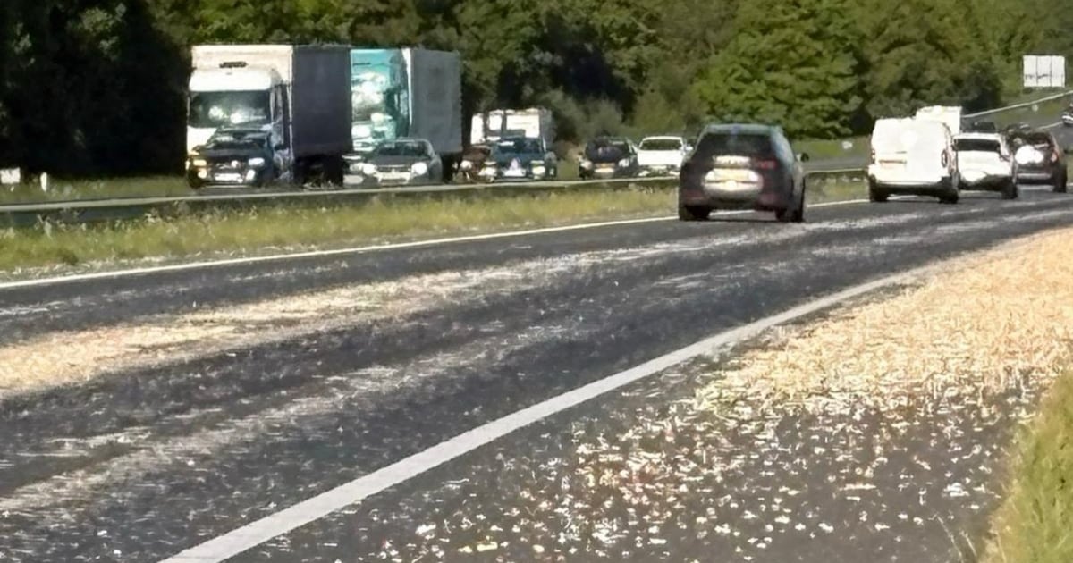A58 richting Hoogerhei­de tot 04.00 uur dicht nadat vrachtwagen lading uien verliest