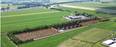 Bedrijventerrein ondergaat metamorfose: duurzaam hout in plaats van trucks en schroot