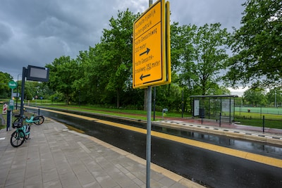 Image related to the article