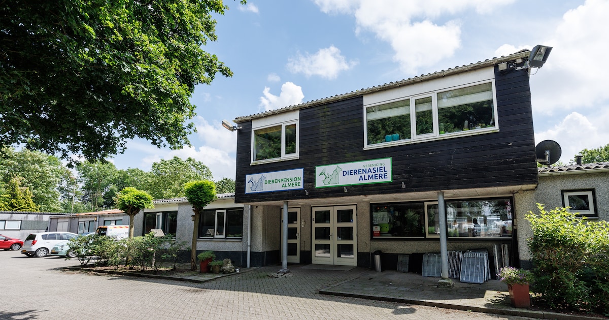 Dierenbescherming neemt werk van ‘teleurgesteld’ asiel in Almere over