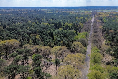 Wij beantwoorden zes vragen van lezers over stikstofvervuiling in onze bossen
