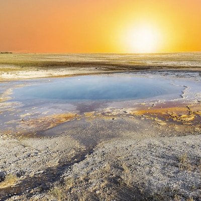 Galerie DNA in Deventer opent expositie over ‘schoonheid van vergankelijkheid’