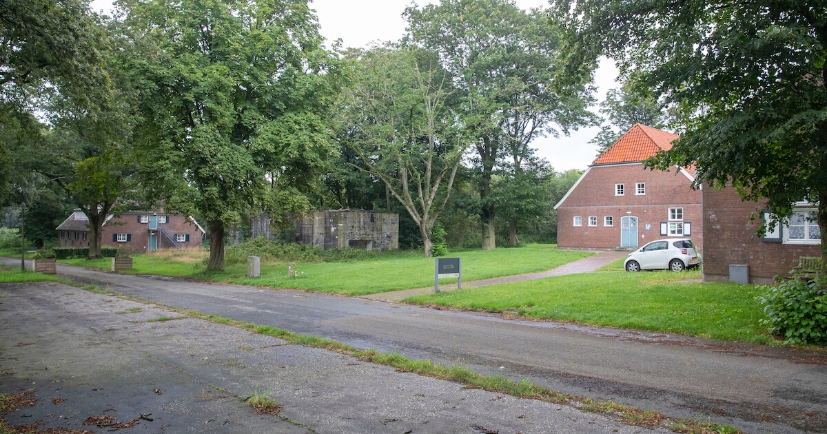 Het gaat gebeuren: half maart tweehonderd asielzoekers naar de Kop van ...