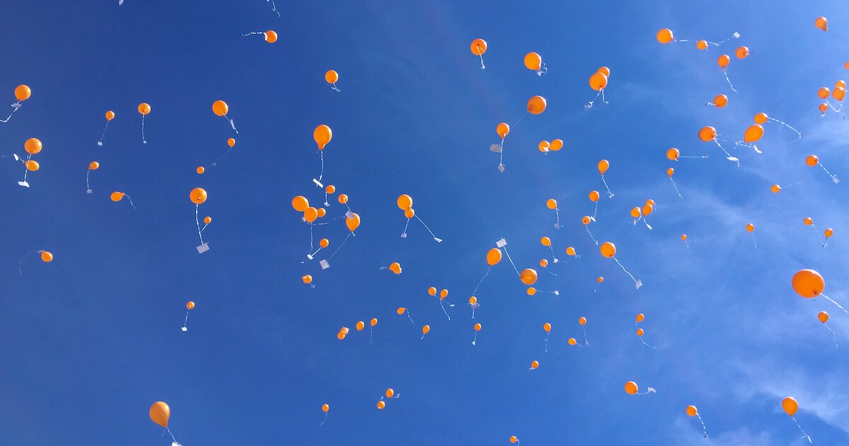 Dit is er te doen tijdens Koningsdag in de gemeente Drechterland