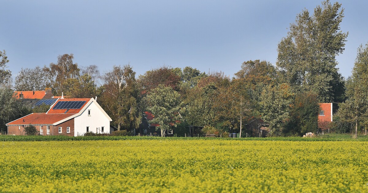 In Koekoek heeft iedereen een huis waar je omheen kunt lopen