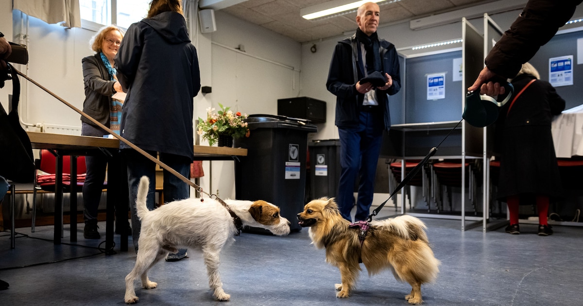 Meeste kiezers voor PVV, maar in dit deel van Vijfheerenlanden haalde de SGP 50 procent van alle ste