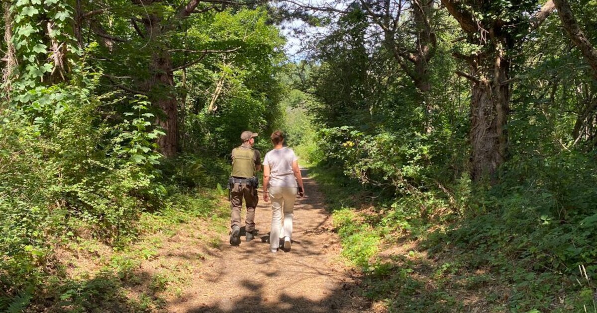 Elke woensdagavond in juli ontdek je de avondnatuur bij Rockanje samen met een gids | Voorne aan Zee