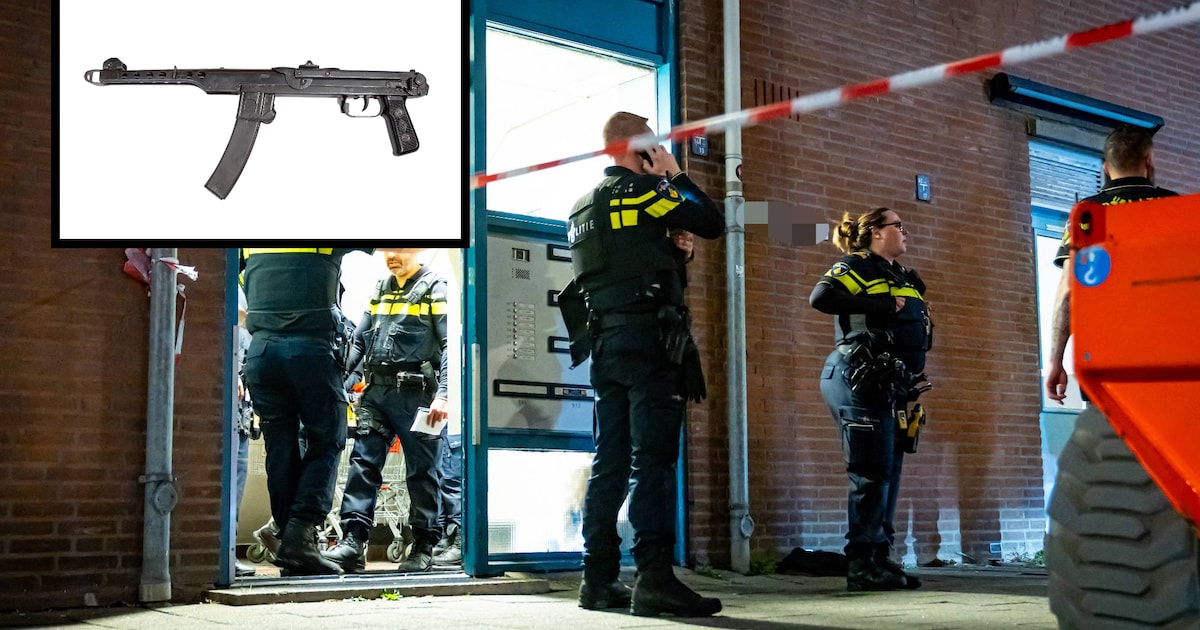 Geen tien, maar drie jaar celstraf voor per ongeluk doodschieten van ...