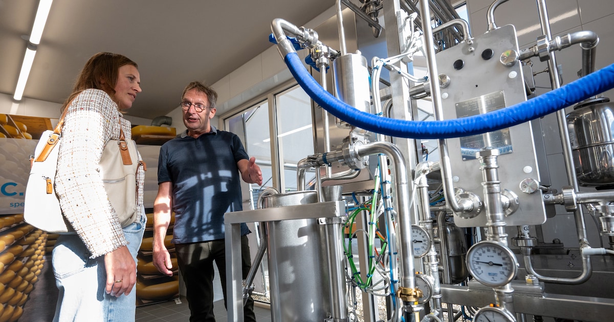 Waarom grote kazen lekkerder zijn: kaasmaker Kees test in een lab in Stolwijk nieuwe smaken